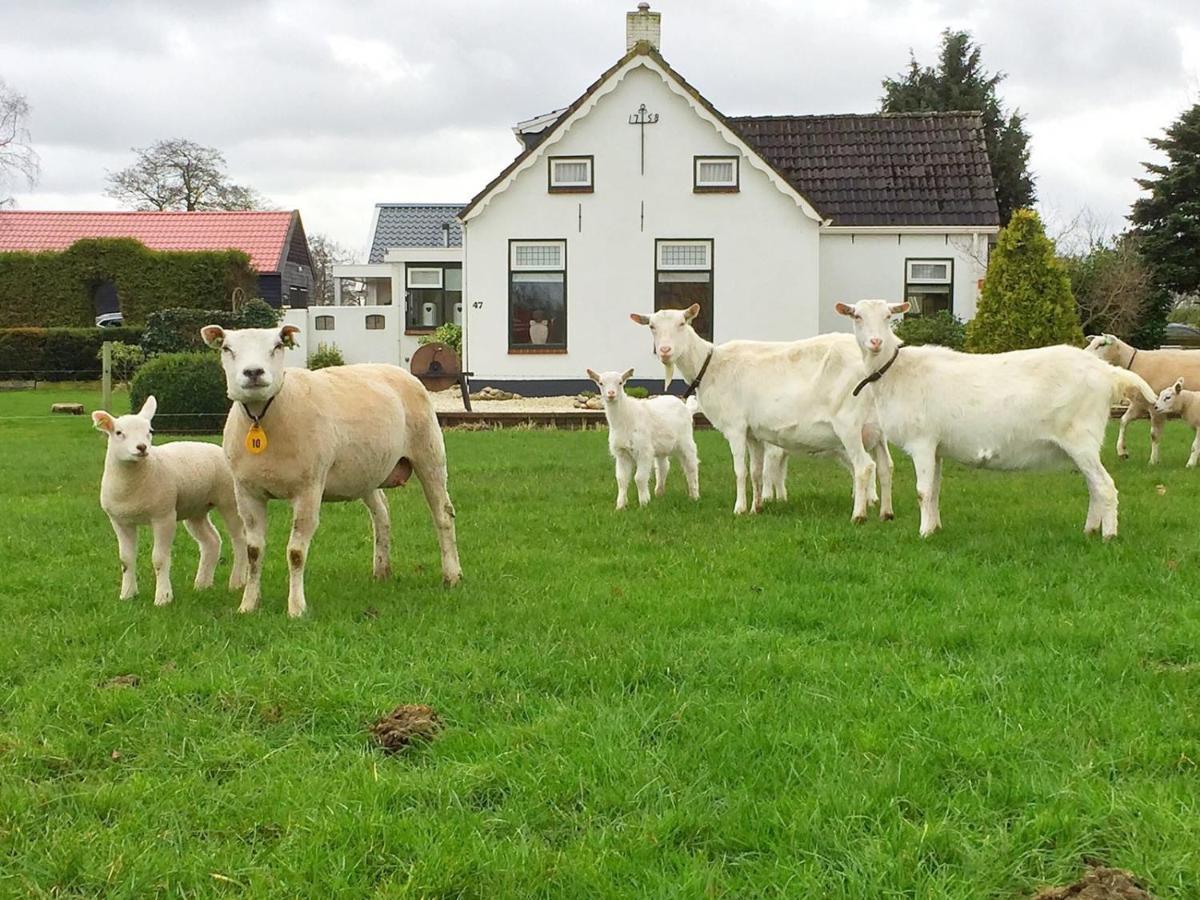 Locatie Het Knooppunt Engelse Chalet Nuis Dış mekan fotoğraf