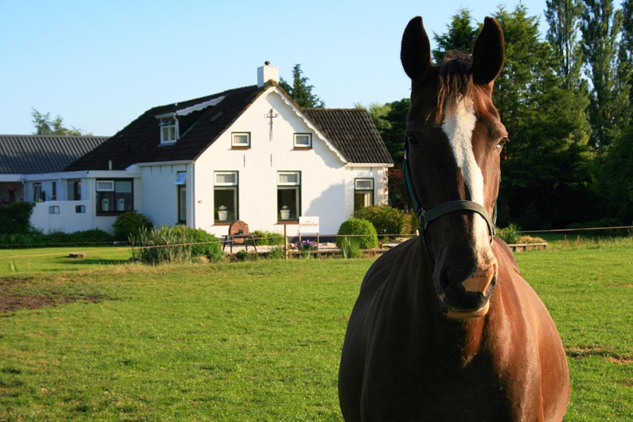 Locatie Het Knooppunt Engelse Chalet Nuis Dış mekan fotoğraf